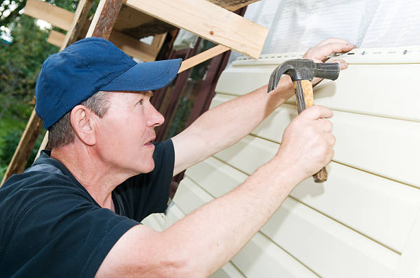 Best Insulated Siding Installation  in Erwin, TN