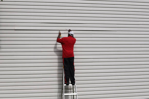 Best Siding Painting and Refinishing  in Erwin, TN